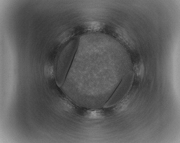 X0000110320564200905281635