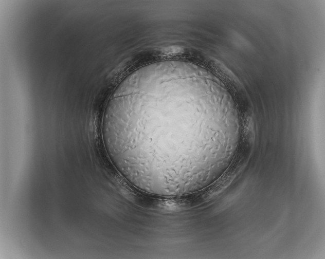 X0000110320565200905281635