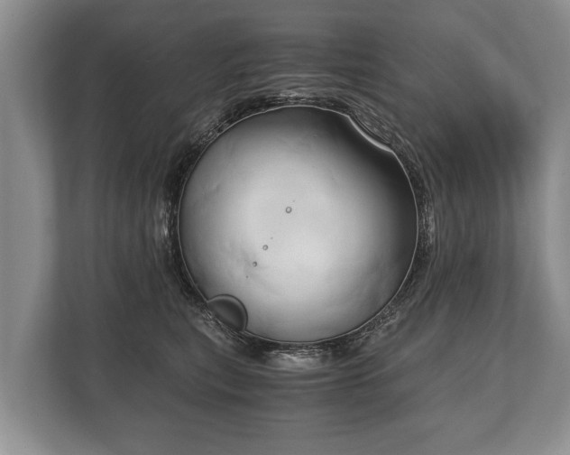 X0000110320567200905281635