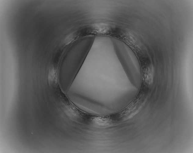 X0000110320568200905281635