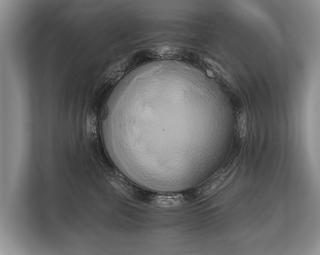 X0000110320571200905281635