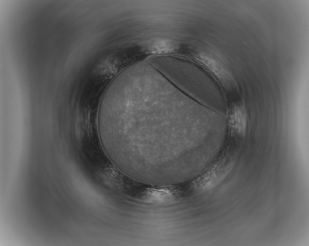 X0000110320572200905281635