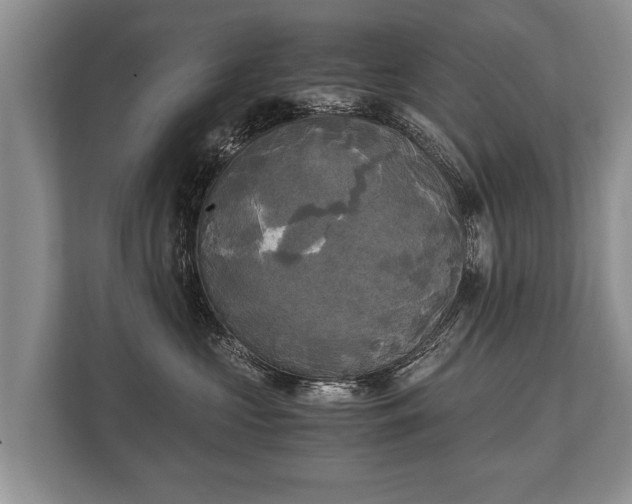 X0000110320573200905281635