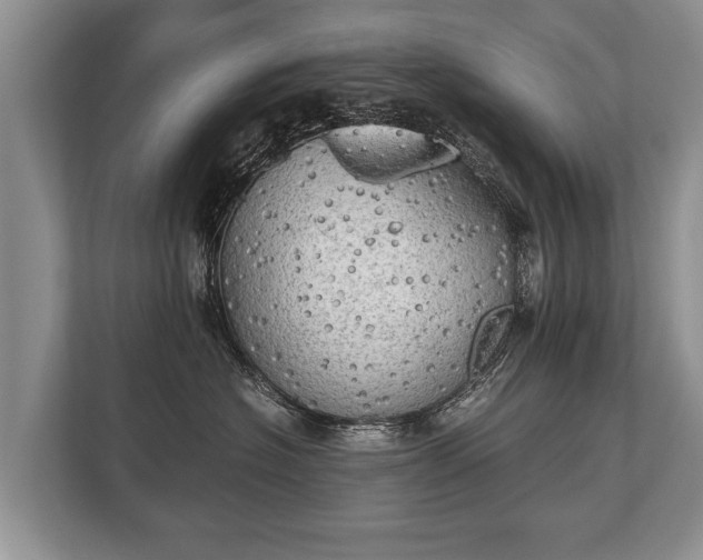 X0000110320574200905281635