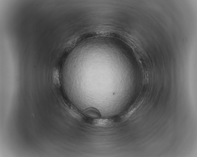 X0000110320575200905281635