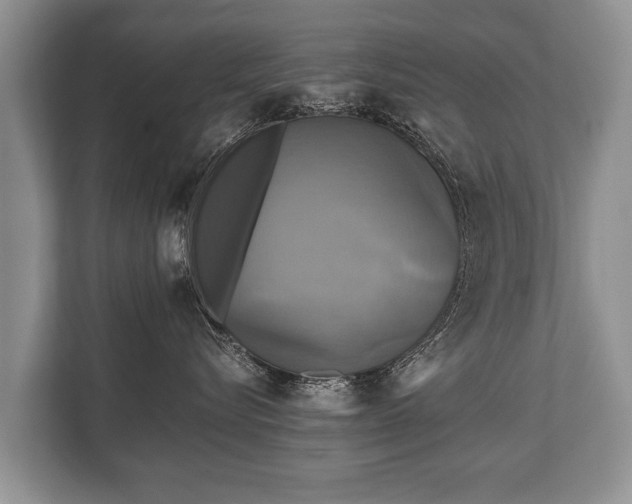 X0000110320576200905281635