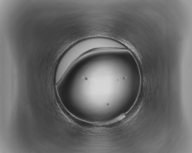 X0000110320577200905281634