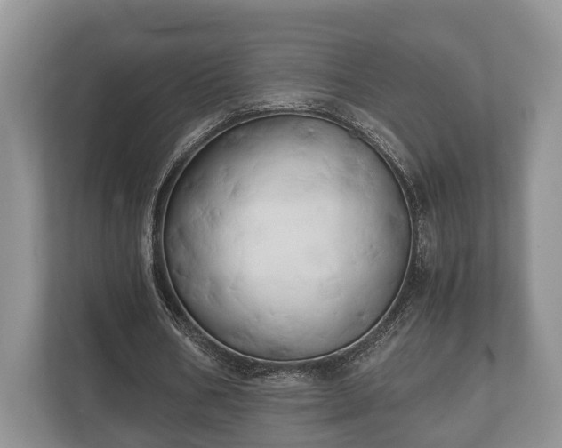 X0000110320578200905281634