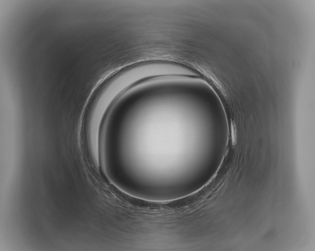 X0000110320579200905281634