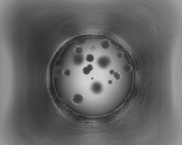 X0000110320580200905281634