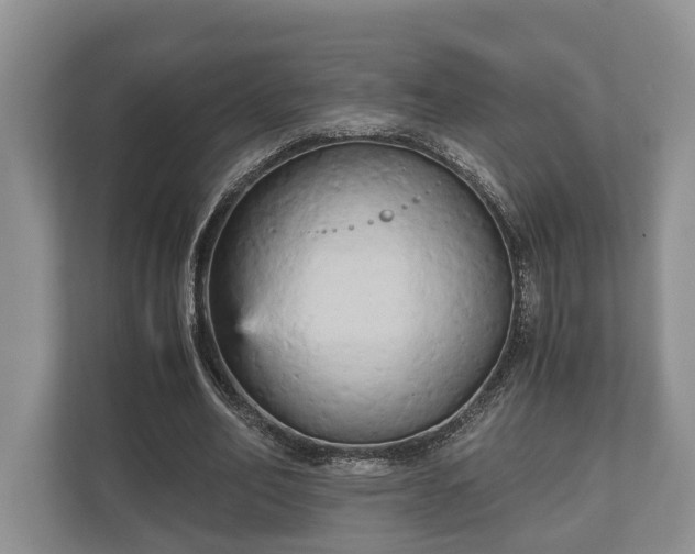 X0000110320582200905281634