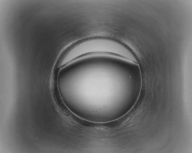 X0000110320583200905281634