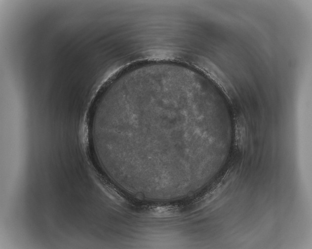 X0000110320584200905281634