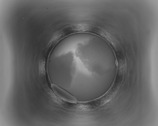 X0000110320585200905281634