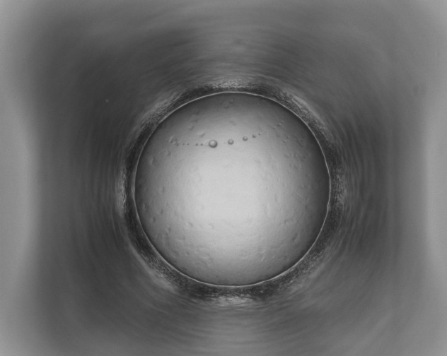 X0000110320586200905281634