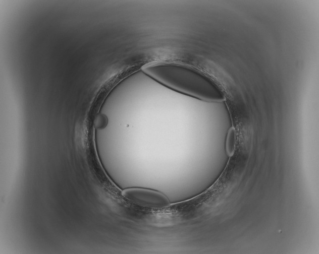 X0000110320587200905281634