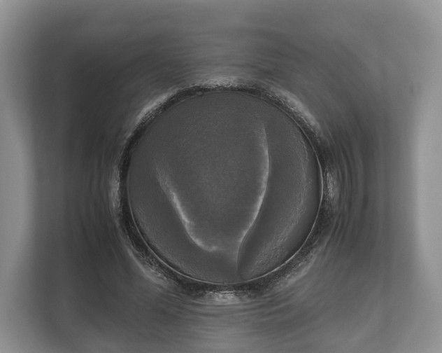 X0000110320588200905281634