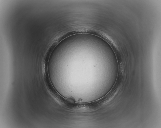 X0000110320589200905281634