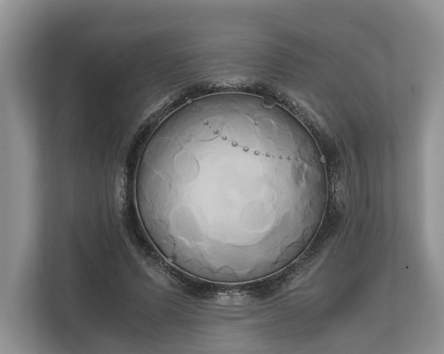 X0000110320591200905281634