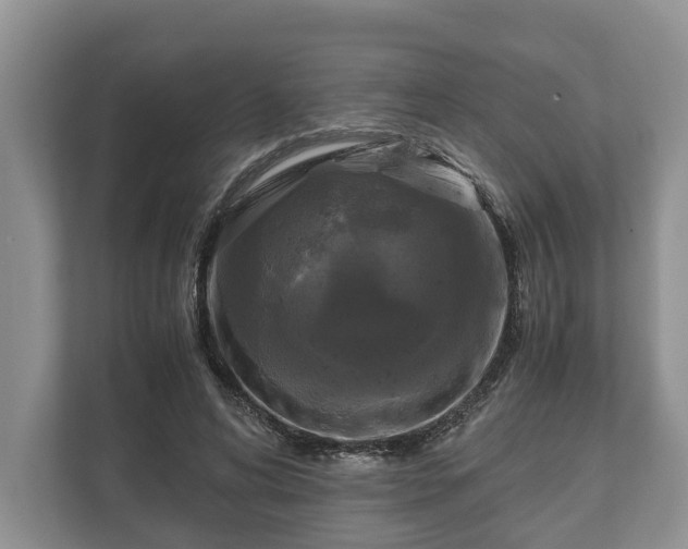 X0000110320592200905281634