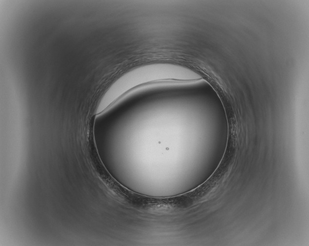 X0000110320593200905281634