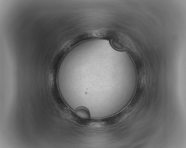 X0000110320595200905281634