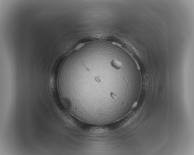 X0000110320597200905281634