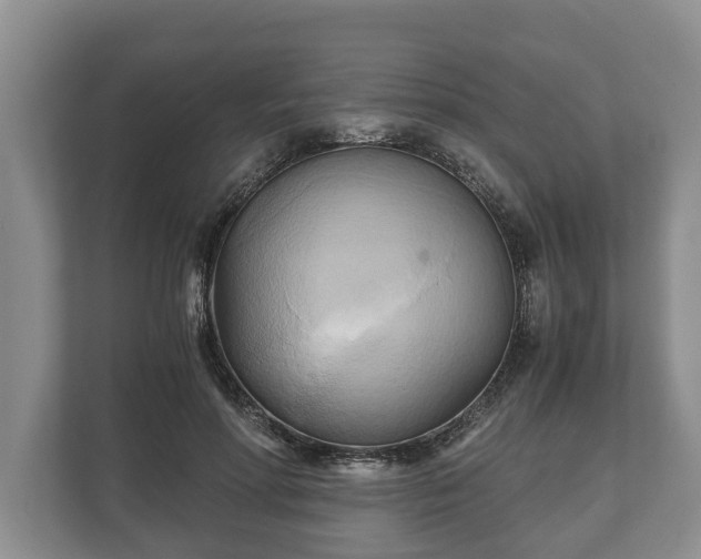 X0000110320598200905281634