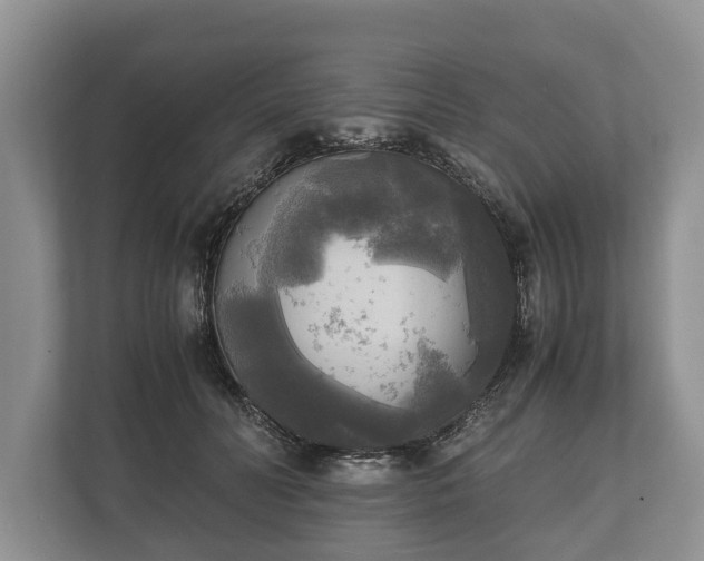 X0000110320606200905281634