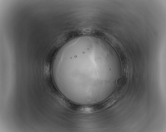 X0000110320610200905281634