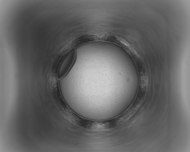 X0000110320613200905281634