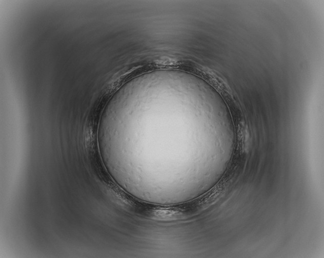 X0000110320614200905281634