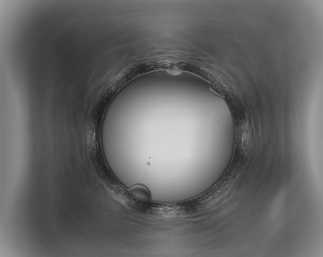 X0000110320615200905281634