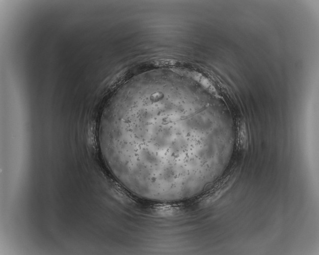 X0000110320616200905281634