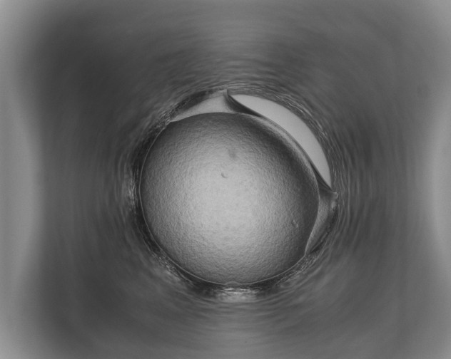 X0000110320617200905281634