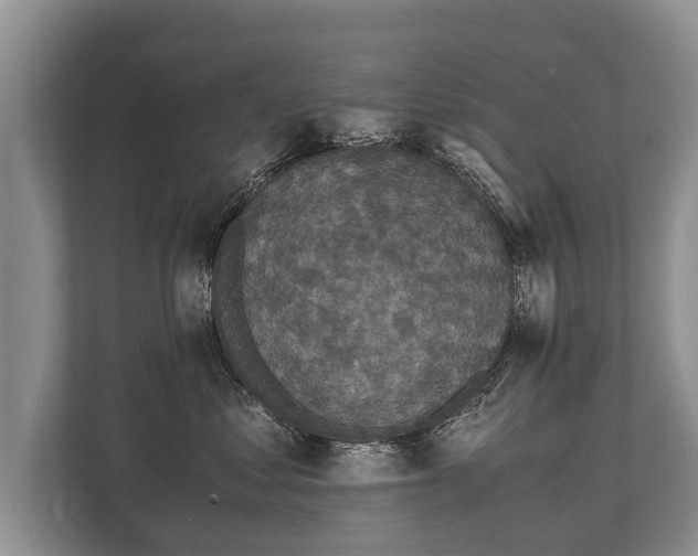 X0000110320621200905281634