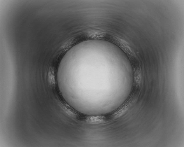 X0000110320622200905281634