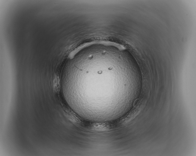 X0000110320624200905281634