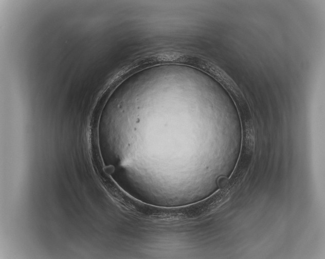 X0000110320626200905281633