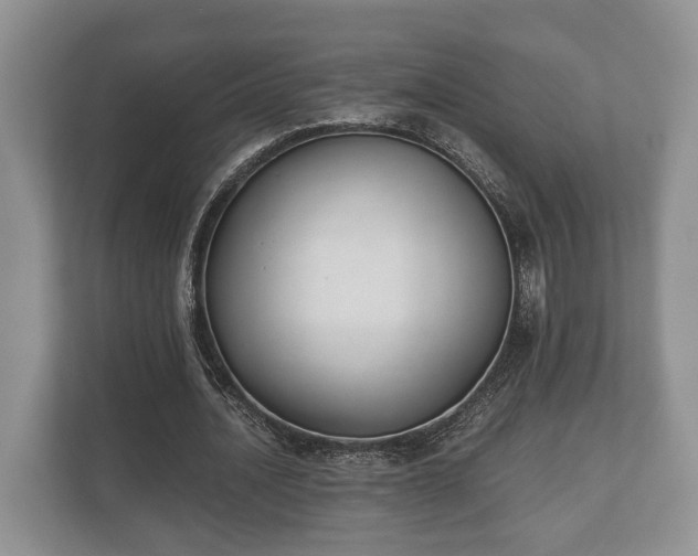 X0000110320628200905281633