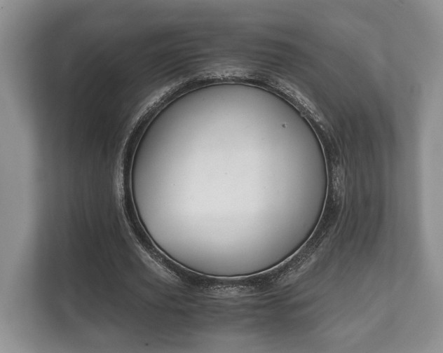 X0000110320629200905281633