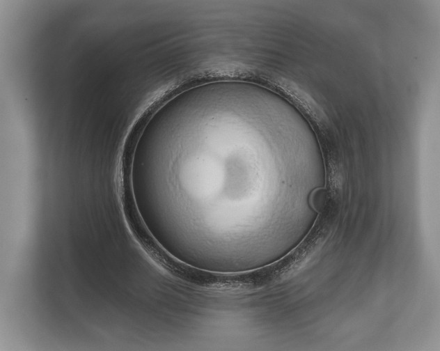 X0000110320630200905281633