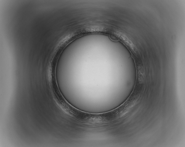 X0000110320631200905281633