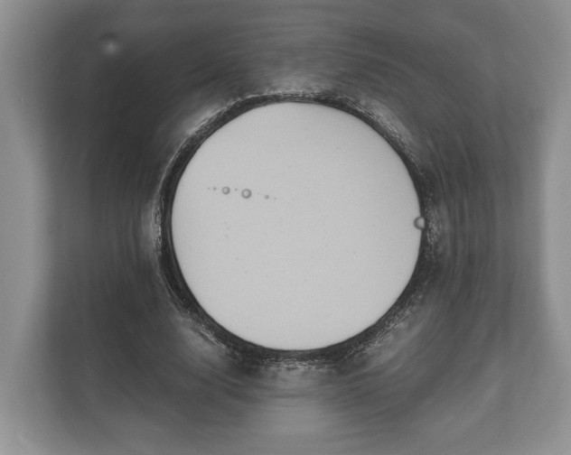 X0000110320632200905281633