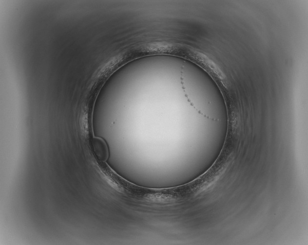 X0000110320633200905281633