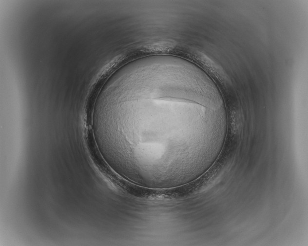 X0000110320634200905281633