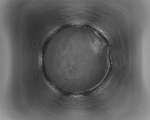 X0000110320637200905281633