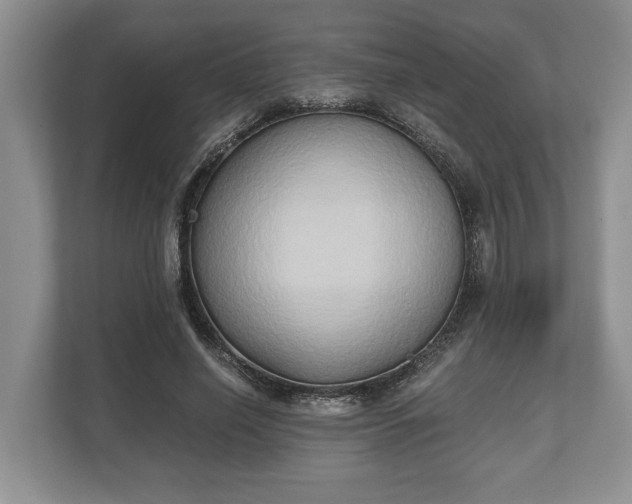 X0000110320638200905281633