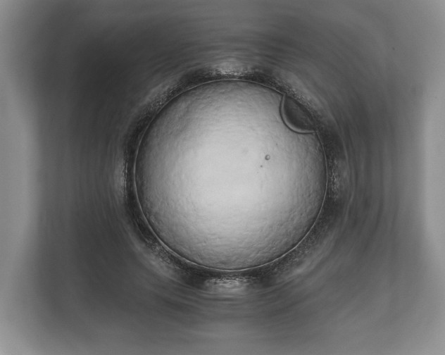 X0000110320639200905281633