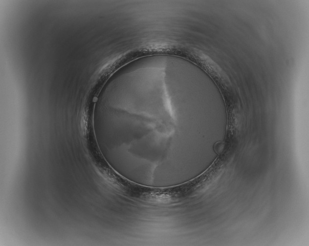 X0000110320640200905281633